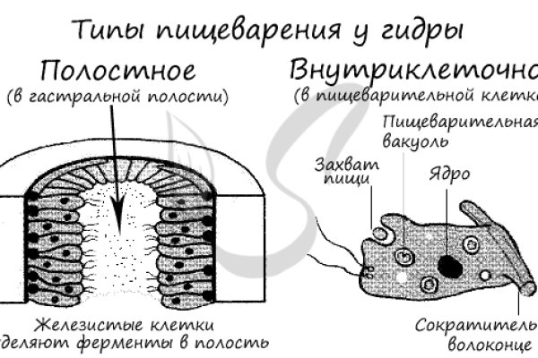 Купить наркотики через кракен