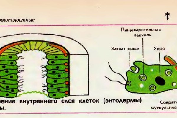 Как зайти на кракен даркнет