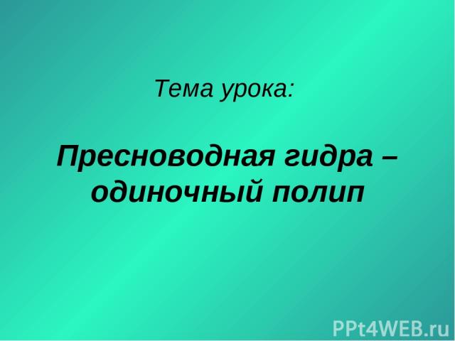 Ссылка на kraken торговая площадка