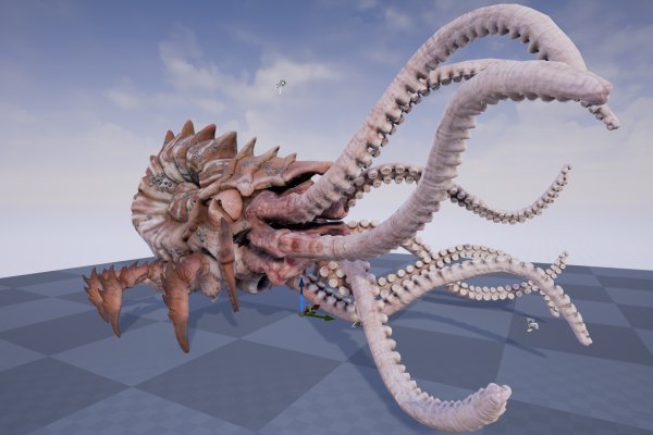 Kraken 17 at