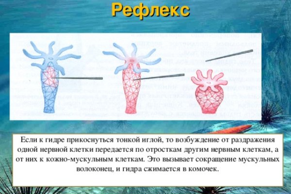 Кракен официальная ссылка kraken torion